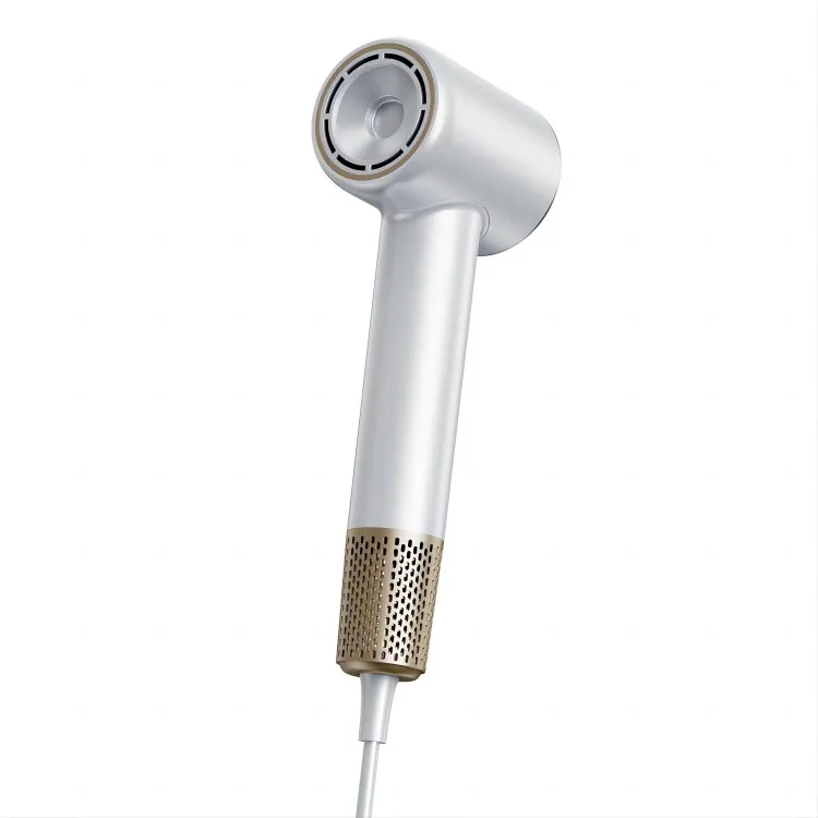 Professioneller personalisierter Haartrockner